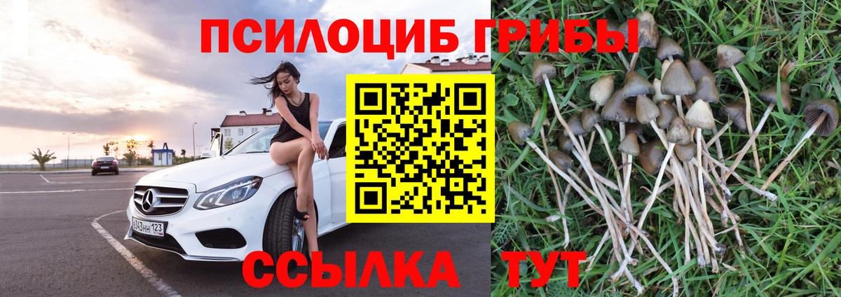 Южно-Сахалинск  Галлюциногенные грибы мицелий  Вход с VPN 